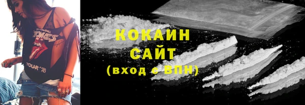 индика Беломорск
