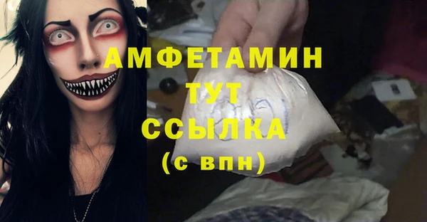 индика Беломорск
