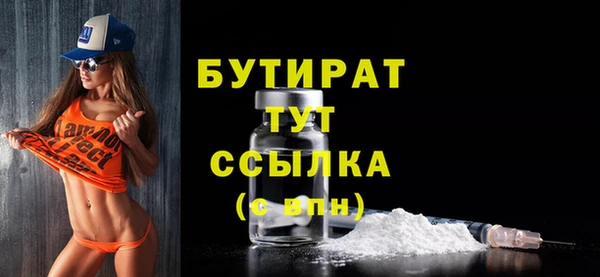 индика Беломорск