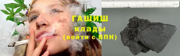 индика Беломорск