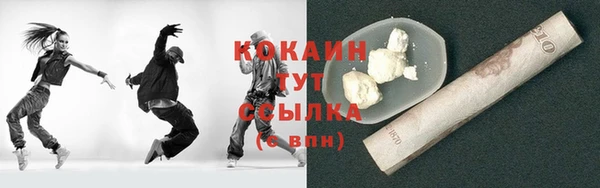 стаф Белокуриха