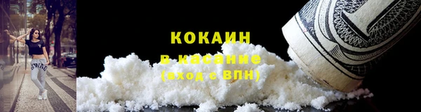 стаф Белокуриха