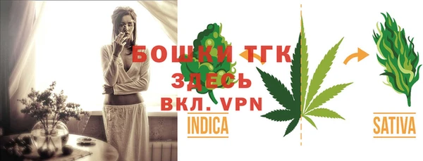 индика Беломорск