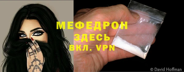 индика Беломорск