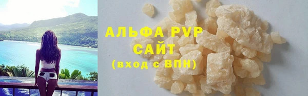 индика Беломорск