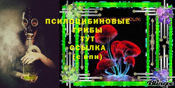 стаф Белокуриха