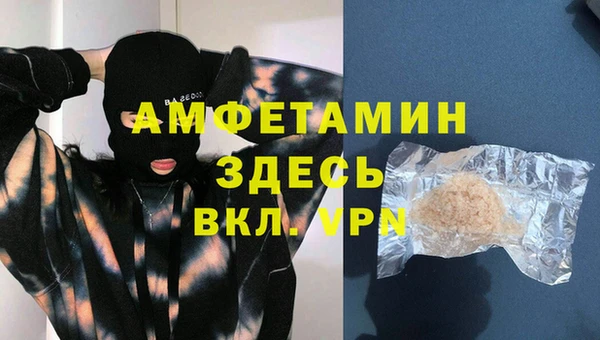 индика Беломорск