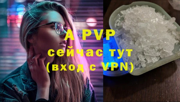 индика Беломорск