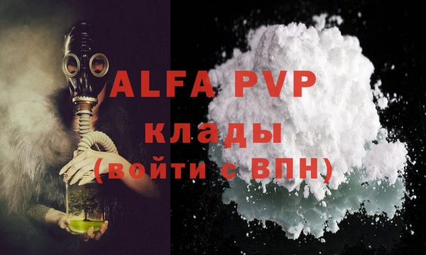 стаф Белокуриха