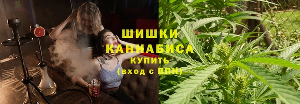 стаф Белокуриха
