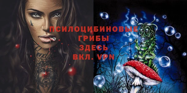 индика Беломорск