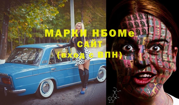 индика Беломорск