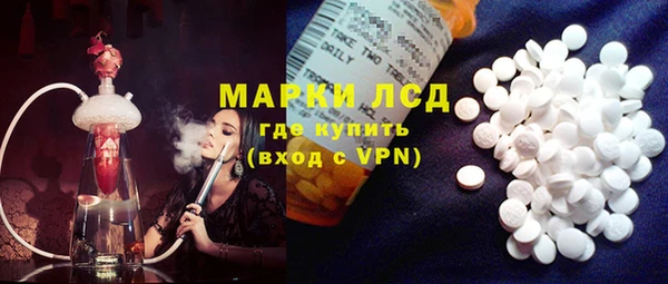 стаф Белокуриха