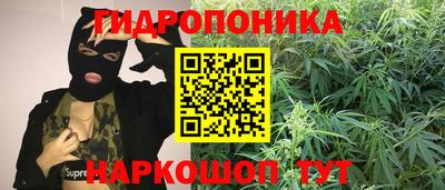 дурь Волжский