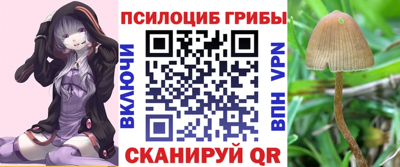 как найти закладки Верхний Уфалей blacksprut рабочий сайт Галлюциногенные грибы MAGIC MUSHROOMS