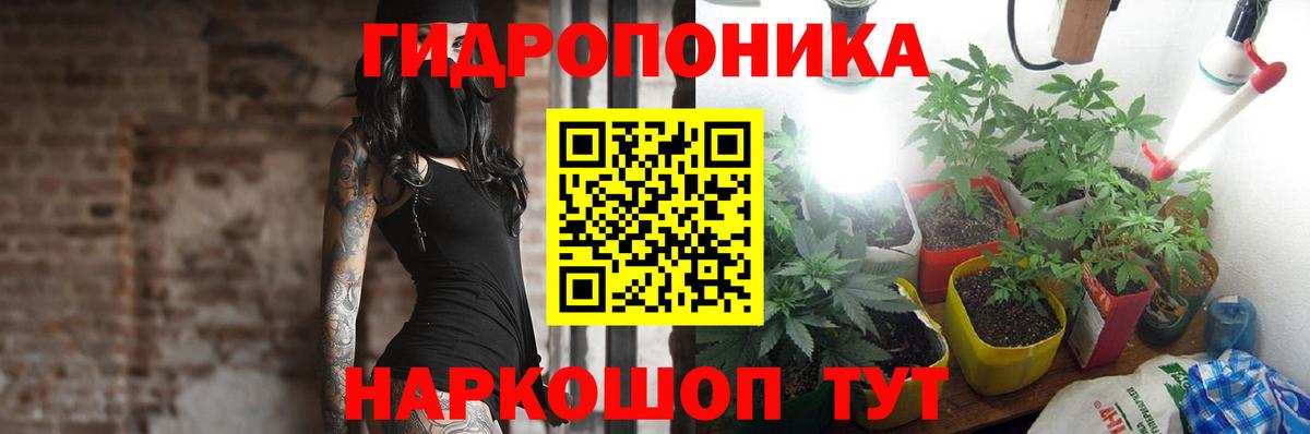 Бошки Шишки индика Верхний Уфалей